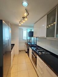 Citylights (D8), Condominium #459931481